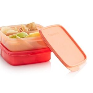 Tupperware Peach and Red Storage Containers